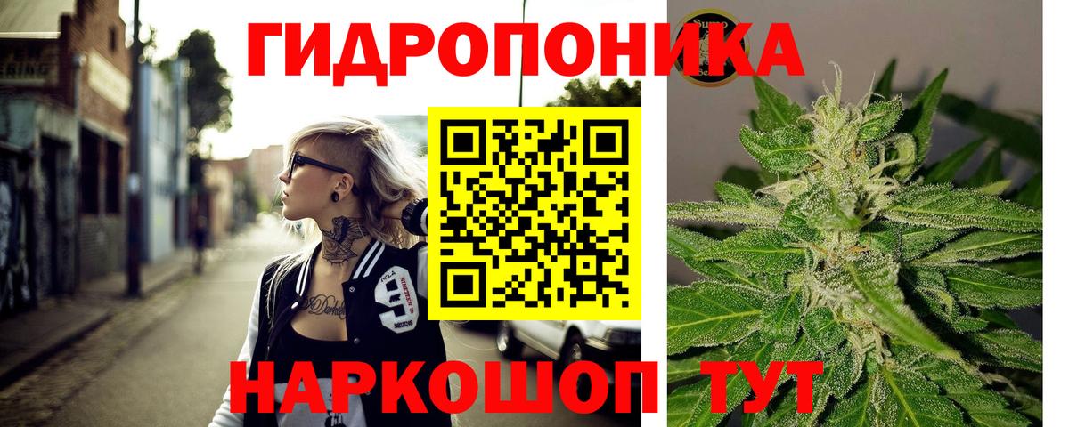 Бошки марихуана марихуана  Вход с VPN  Канабис индика  Сосновый Бор  Бошки Шишки Bruce Banner 